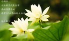 ֹ,մ󷨵ӹ編ִʦ𻪵(25)
