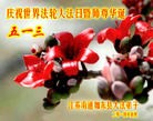 ֹ,մ󷨵ӹʦ𻪵ߴ󷨺鴫ʮ(18)
