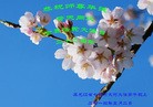 ֹ,󷨵ӹʦ𻪵ߴ󷨺鴫ʮ(25)
