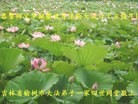 ֹ,󷨵ӹش󷨺鴫ʮʦ𻪵(26)
