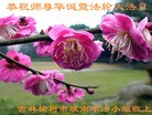 ֹ,󷨵ӹش󷨺鴫ʮʦ𻪵(26)

