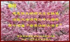 ֹ,д󷨵ӹʦ𻪵ߴ󷨺鴫ʮ(18)
