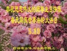 ֹ,д󷨵ӹʦ𻪵ߴ󷨺鴫ʮ(24)
