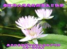 ֹ,󷨵ӹش󷨺鴫ʮʦ𻪵(27)
