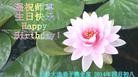 ֹ,ɳ󷨵ӹ編ִʦ𻪵(27)
