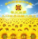 ֹ,ϵͳ󷨵ӹش󷨺鴫ʮʦ𻪵(27)
