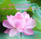 ֹ,󷨵ӹش󷨺鴫ʮʦ𻪵(27)
