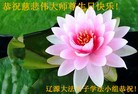 ֹ,ʡ󷨵ӹʦ𻪵ߴ󷨺鴫ʮ(24)
