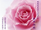 ֹ,ʡ󷨵ӹش󷨺鴫ʮʦ𻪵(20)
