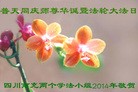 ֹ,Ĵ󷨵ӹ編ִʦ𻪵(20)
