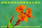 ֹ,Ĵ󷨵ӹ編ִʦ𻪵(20)
