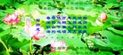 ֹ,Ĵ󷨵ӹ編ִʦ𻪵(28)
