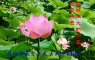 ֹ,ϵͳ󷨵ӹش󷨺鴫ʮʦ𻪵(27)
