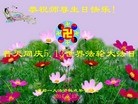ֹ,ɶ󷨵ӹش󷨺鴫ʮʦ𻪵(25)
