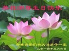 ֹ,ʡ󷨵ӹش󷨺鴫ʮʦ𻪵(20)
