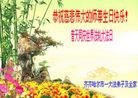 ֹ,󷨵ӹش󷨺鴫ʮʦ𻪵(20)
