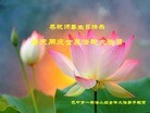 ֹ,Ĵ󷨵ӹ編ִʦ𻪵(24)

