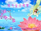 ֹ,󷨵ӹ編ִʦ𻪵(25)
