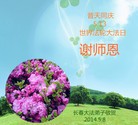 ֹ,󷨵ӹ編ִʦ𻪵(25)

