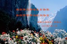 ֹ,ϴ󷨵ӹش󷨺鴫ʮʦ𻪵(25)

