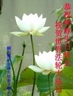 ֹ,󷨵ӹش󷨺鴫ʮʦ𻪵(23)
