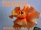 ֹ,󷨵ӹش󷨺鴫ʮʦ𻪵(23)
