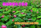 ֹ,ʡ󷨵ӹش󷨺鴫ʮʦ𻪵(28)
