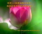 ֹ,󷨵ӹ編ִʦ𻪵(26)
