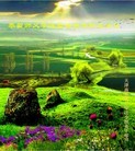 ֹ,󷨵ӹ編ִʦ𻪵(26)
