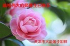 ֹ,󷨵ӹ編ִʦ𻪵(26)
