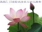 ֹ,󷨵ӹ編ִʦ𻪵(25)
