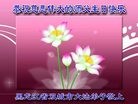 ֹ,󷨵ӹ編ִʦ𻪵(19)
