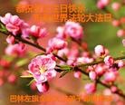 ֹ,ɹŴ󷨵ӹ編ִʦ𻪵(25)
