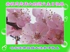 ֹ,󷨵ӹ編ִʦ𻪵(19)
