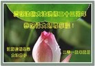 ֹ,մ󷨵ӹ編ִʦ𻪵(23)
