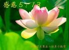 ֹ,󷨵ӹ編ִʦ𻪵(23)
