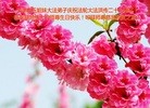ֹ,󷨵ӹ編ִʦ𻪵(26)
