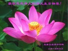 ֹ,󷨵ӹ編ִʦ𻪵(26)
