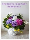 ֹ,󷨵ӹ編ִʦ𻪵(25)
