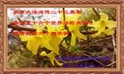 ֹ,󷨵ӹ編ִʦ𻪵(26)
