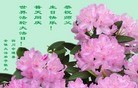 ֹ,Ĵ󷨵ӹ編ִʦ𻪵(22)
