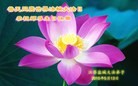 ֹ,մ󷨵ӹ編ִʦ𻪵(23)
