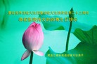 ֹ,󷨵ӹ編ִʦ𻪵(28)
