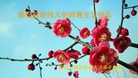 ֹ,󷨵ӹ編ִʦ𻪵(28)
