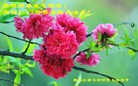 ֹ,󷨵ӹ編ִʦ𻪵(28)
