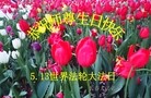 ֹ,󷨵ӹ編ִʦ𻪵(25)
