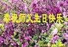 ֹ,󷨵ӹ編ִʦ𻪵(26)

