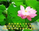 ֹ,󷨵ӹ編ִʦ𻪵(26)
