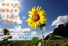 ֹ,ϴ󷨵ӹ編ִʦ𻪵(25)
