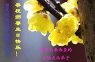 ֹ,Ǵ󷨵ӹ編ִʦ𻪵(10)
